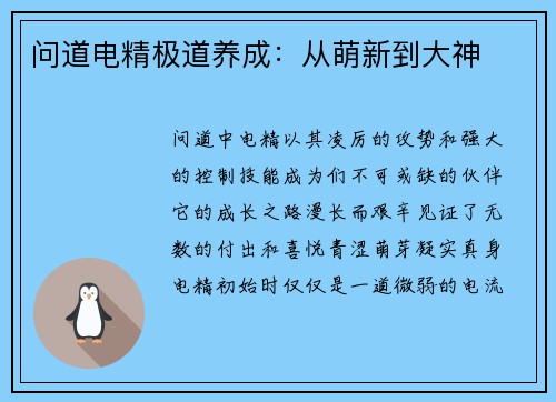 问道电精极道养成：从萌新到大神